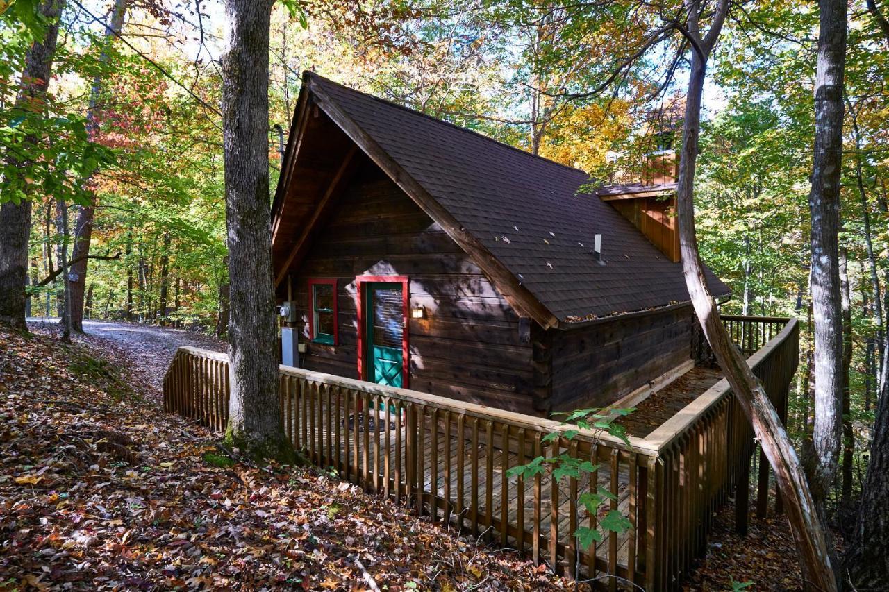 A In The Woods